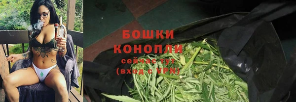 шишки Наволоки