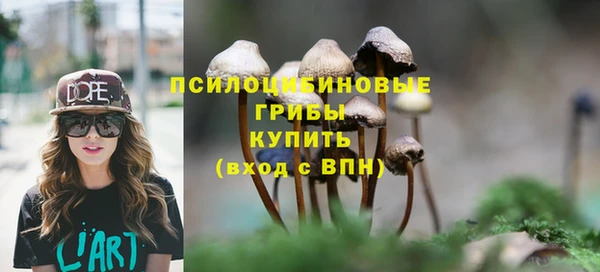 ECSTASY Надым