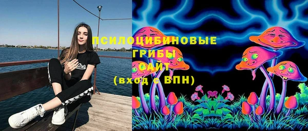 гидра Мегион