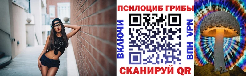 Галлюциногенные грибы мицелий  Новодвинск 