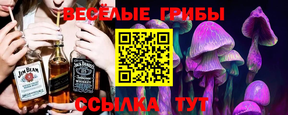 Галлюциногенные грибы GOLDEN TEACHER Новодвинск