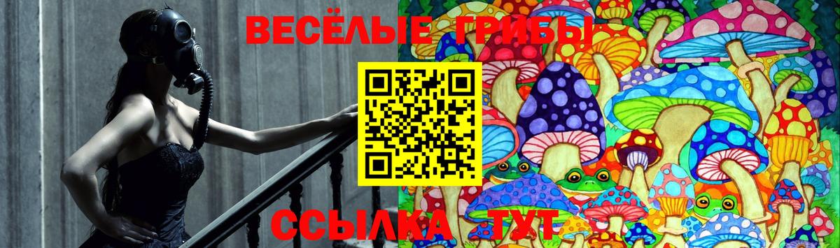 Меф  Конопля  НБОМе  ГАШИШ  Новодвинск  Кокаин  Alpha-PVP  Вход с VPN 