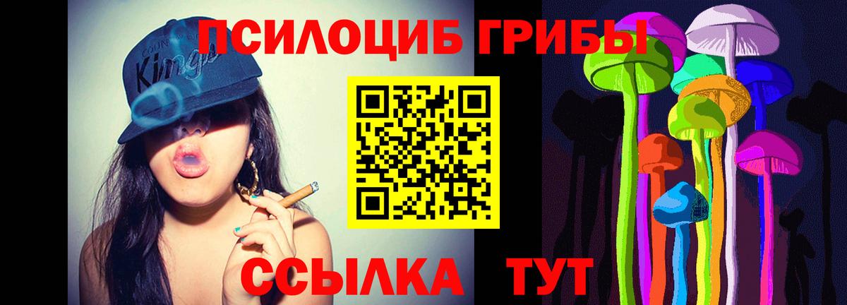 Псилоцибиновые грибы прущие грибы  Вход с VPN  Новодвинск 
