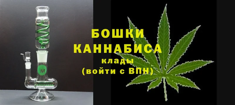 Бошки Шишки THC 21%  продажа наркотиков  Новодвинск 