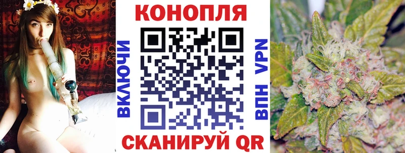 где купить наркотик  Новодвинск  Бошки Шишки VHQ 